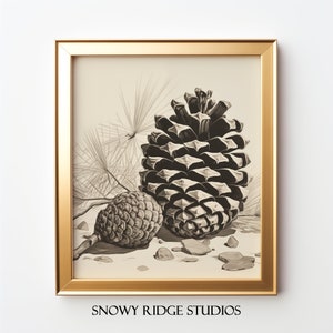 Vintage Painting Of A Pinecone I Minimalist Art Print I Cabin Wall Décor
