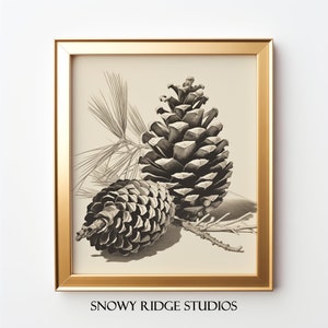 Vintage Painting Of A Pinecone I Minimalist Art Print I Cabin Wall Décor