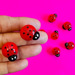 2pcs Ladybug Acrylic Shoe Charms - 3D Charm  Easter Spring Gifts