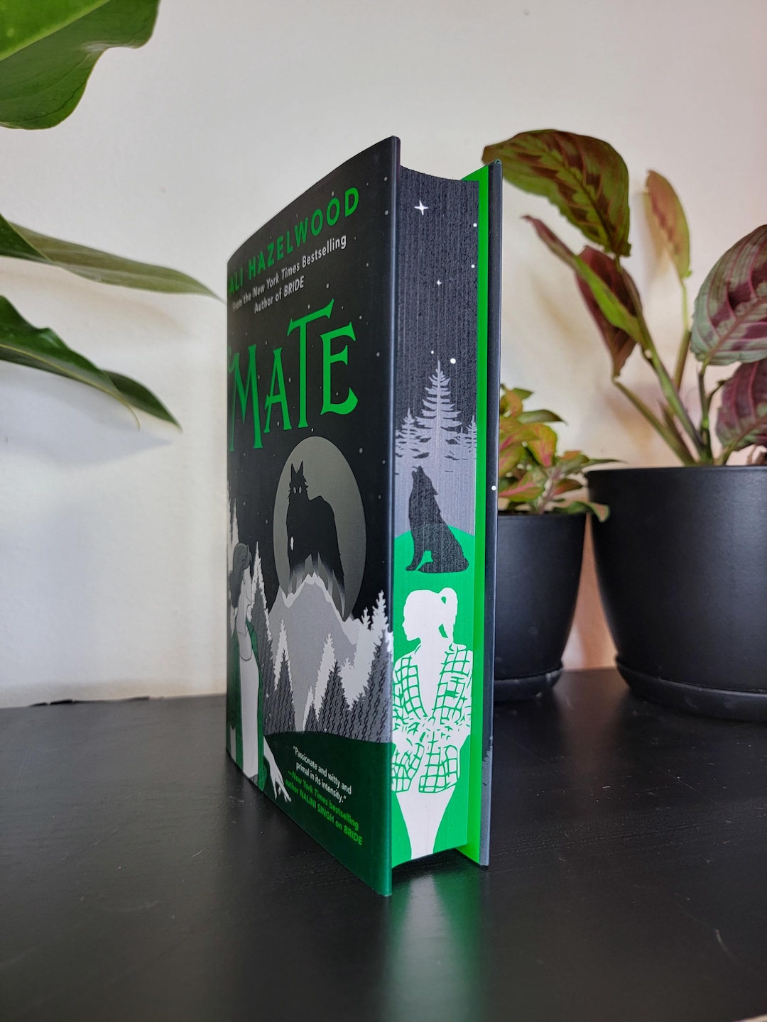 Mate by Ali Hazelwood Sprayed Edges Book, Stenciled Edges, Special ...