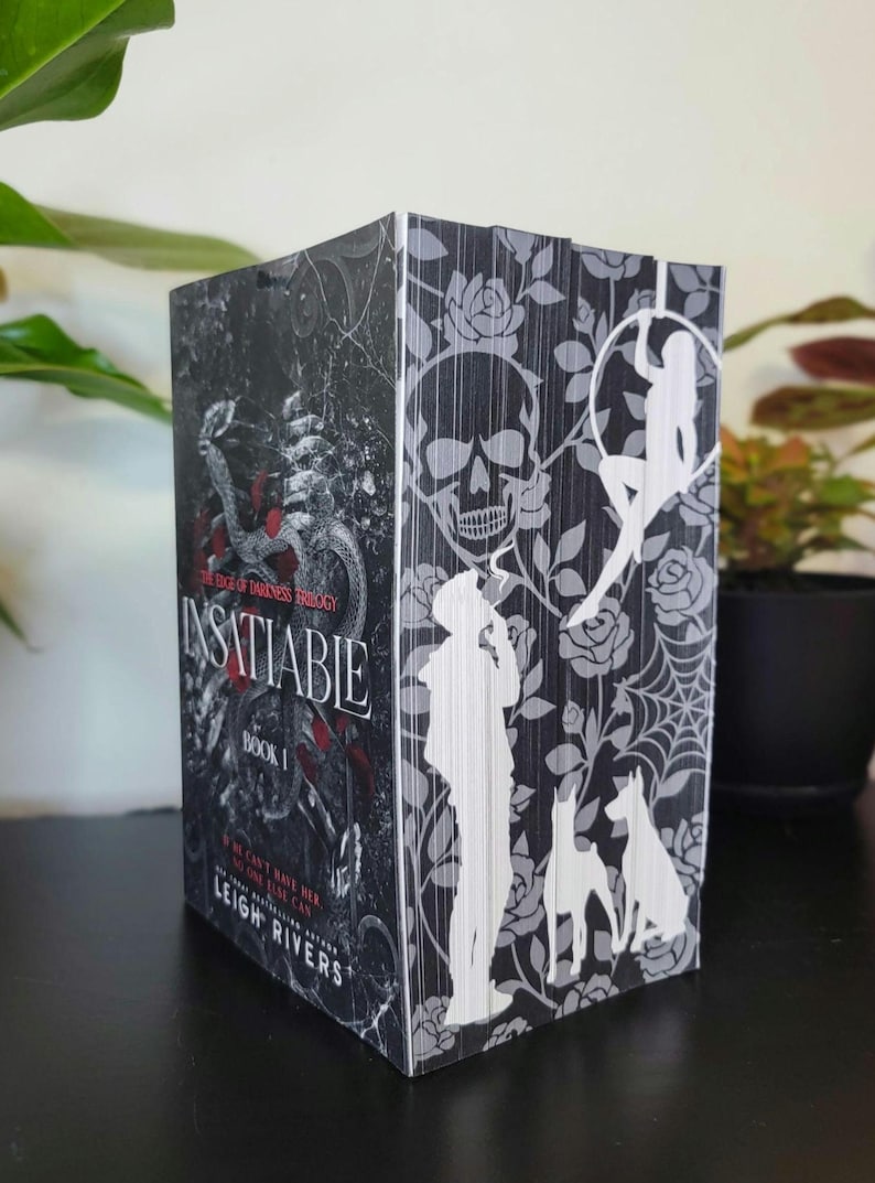May include: A book titled "Insatiable Book 1" from "The Edge of Darkness Trilogy" by Leigh Rivers. The book has a black and gray cover with a skull, roses, and silhouette figures. The spine features the title and author.