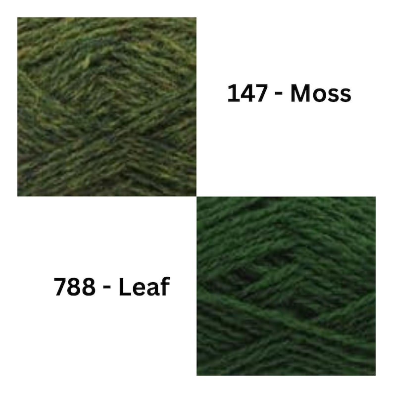 May include: Two skeins of yarn, one green with a darker green fleck and one solid dark green. The yarn skeins are labeled 147 - Moss and 788 - Leaf.