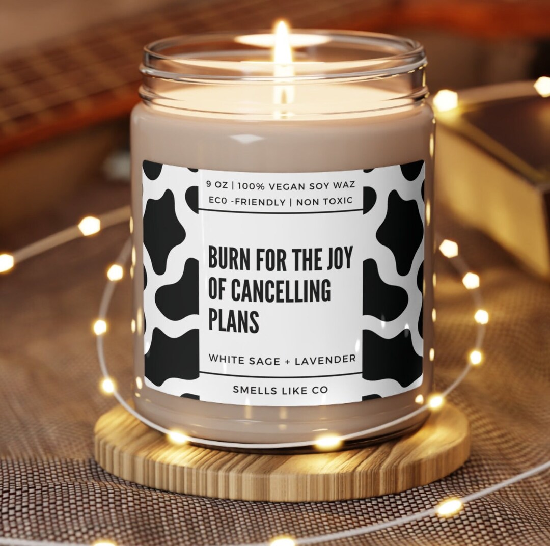 Burn for the Joy of Cancelling Plans Scented Candle, Staying at Home