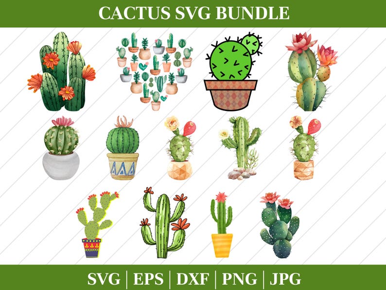Cactus SVG Bundle: Cut Files for Cricut & Silhouette (instant Download ...