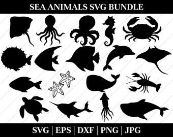 Meerestiere SVG Bundle: Küstenleben im Ozean Doodles (Digitale Dateien)