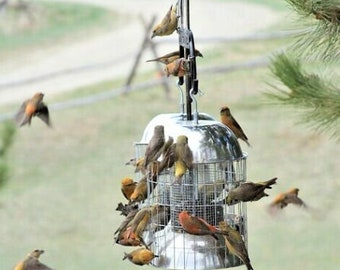Squirrel Proof, LARGE BIRD STOPPER, Bird Feeder for Songbirds