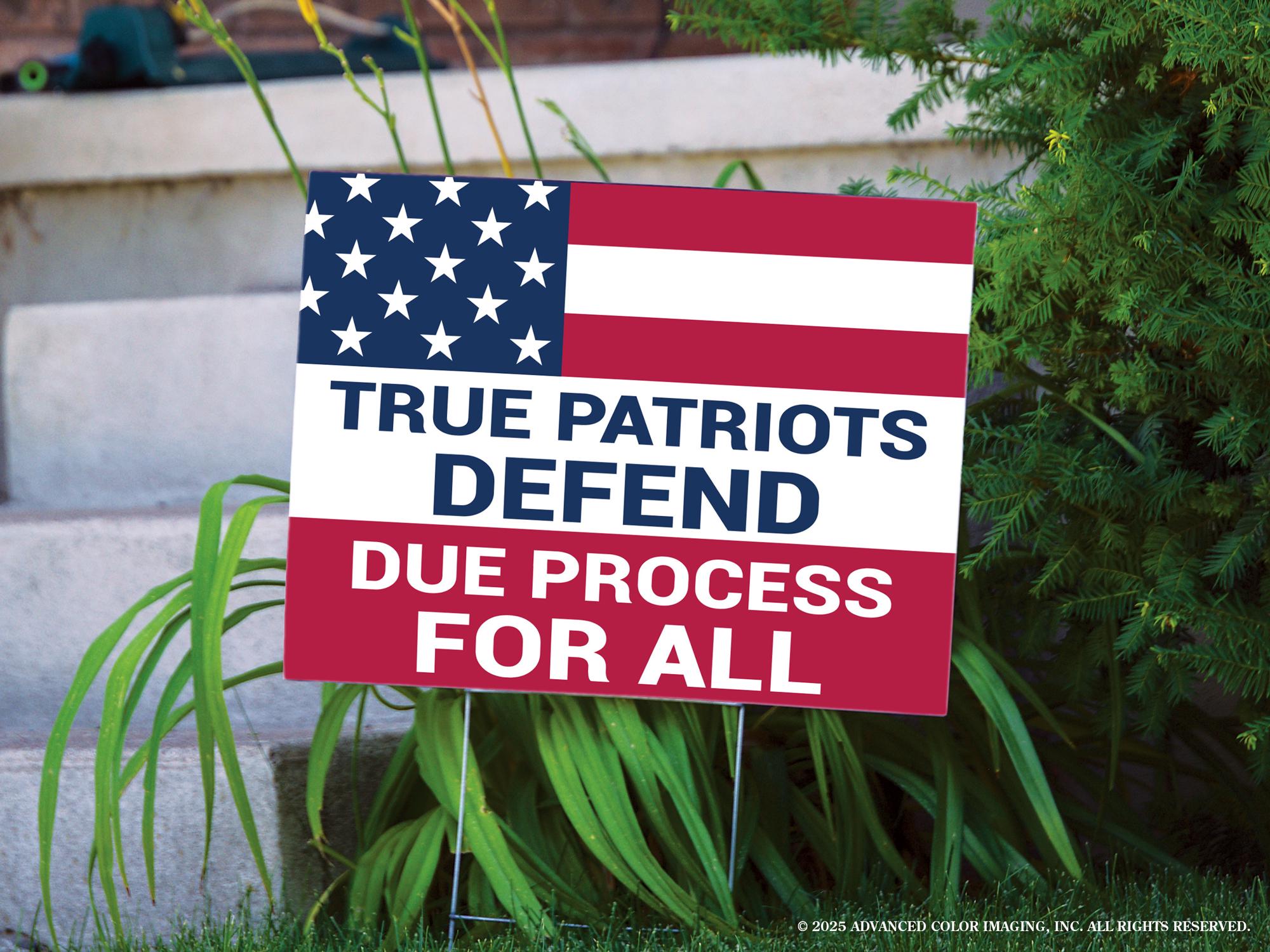 True Patriots Defend Due Process Yard Sign – Pro Constitution Protest Sign – Equal Rights Lawn Decor – Patriotic Legal Justice Art