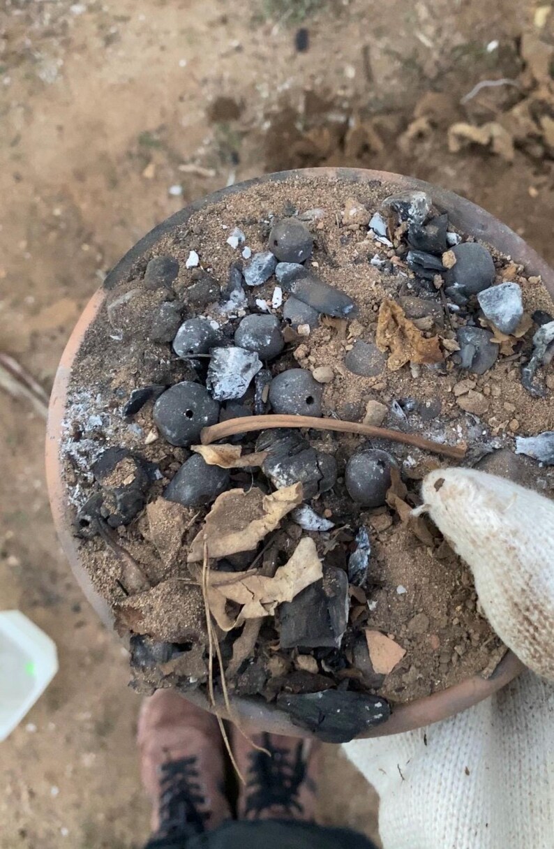 May include: A terracotta pot filled with soil, charcoal, and small, dark gray, spherical objects. The pot's contents include dried leaves and a few light-colored, irregular stones. A gloved hand holds the pot.