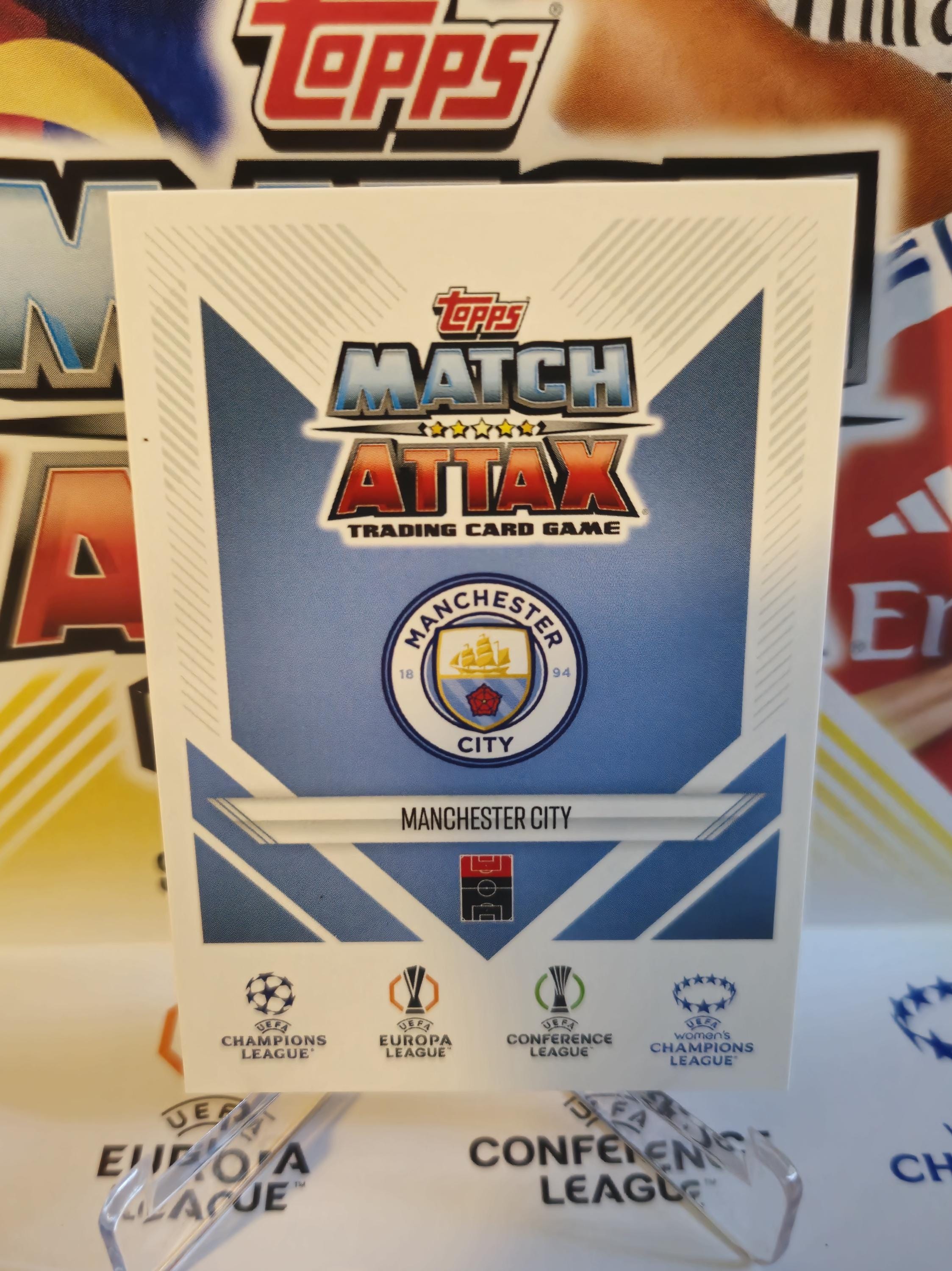 メイプルストーリー オダイバアイランドカード Wanderer Alicedragon