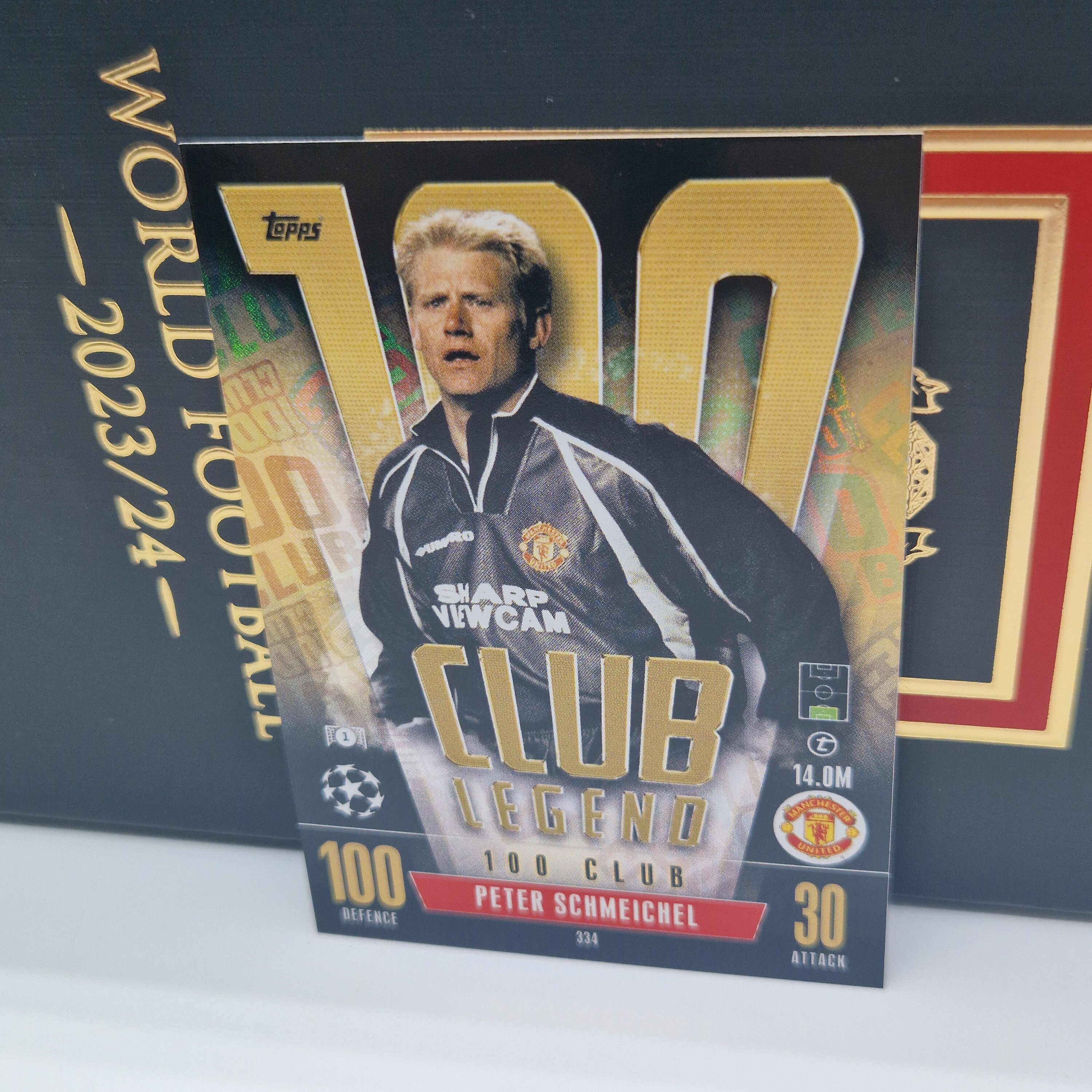 Peter Schmeichel 