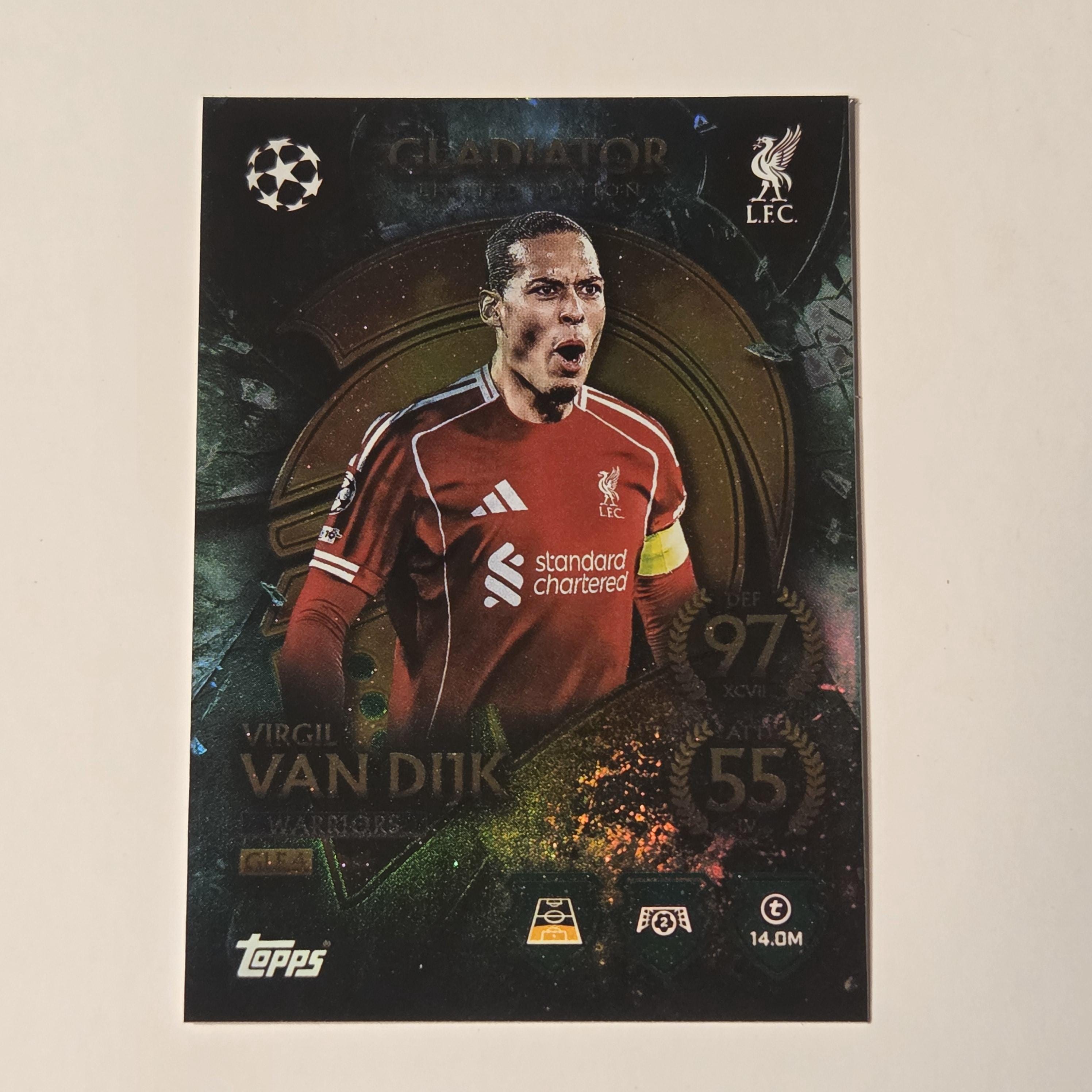 Virgil Van Dijk 