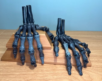 3D Printed Flexible Skeleton Hands | Articulated Fidget Toy | Gothic Desk Decor | Halloween Horror Gift | Moving Finger Joints