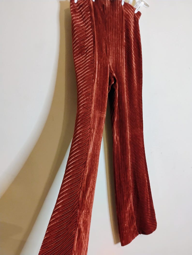 May include: Rust-colored, pleated pants with a flared leg. The pants are hanging on a white hanger against a white wall. The fabric has a vertical ribbed texture, and the pants have a high waist design.