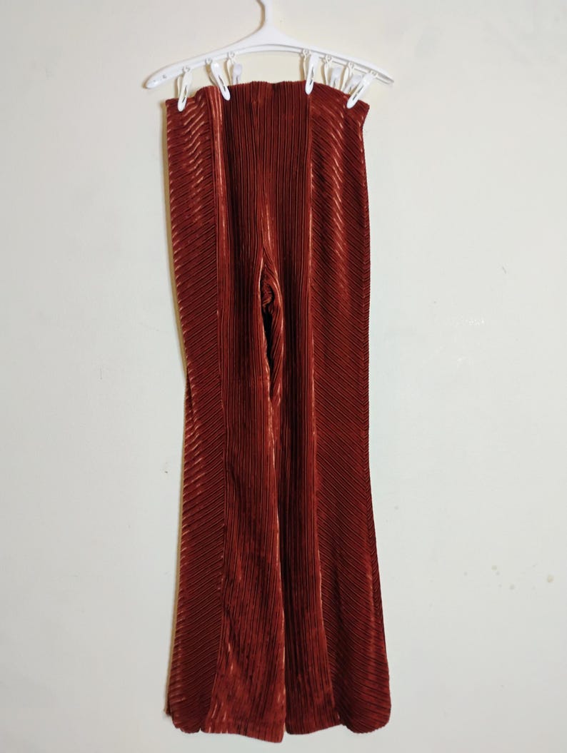 May include: Rust-colored, pleated palazzo pants hanging on a white hanger. The pants have a wide leg and a high waist. The fabric has a vertical ribbed texture.