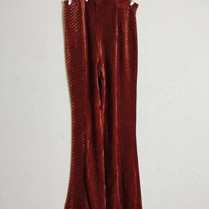 May include: Rust-colored, pleated pants hanging on a white hanger. The pants have a wide-leg design and a vertical ribbed texture. The fabric appears to be a soft, flowing material. The pants are displayed against a plain white background.
