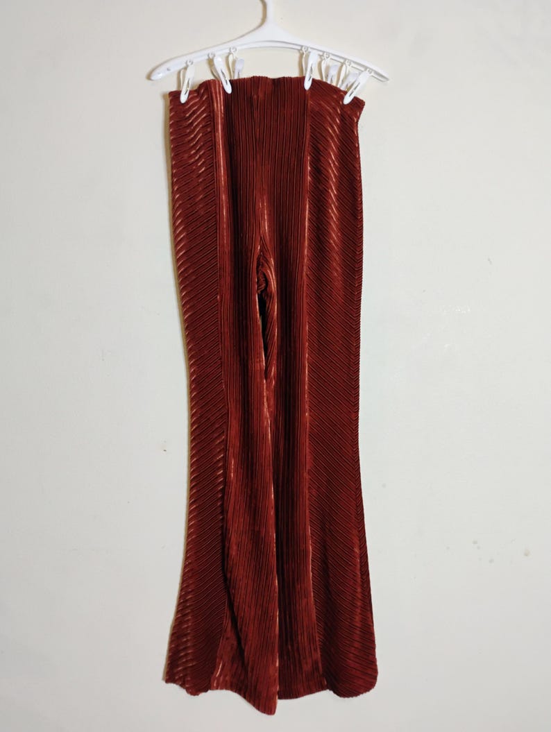 May include: Rust-colored, pleated pants hanging on a white hanger. The pants have a wide-leg design and a vertical ribbed texture. The fabric appears to be a soft, flowing material. The pants are displayed against a plain white background.