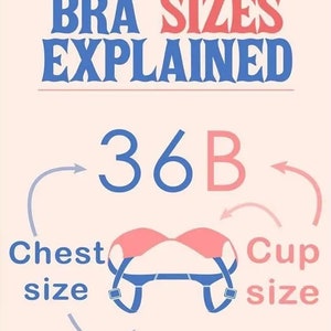 K&ouml;nnte beinhalten: Ein Diagramm, das die BH-Gr&ouml;&szlig;en erkl&auml;rt. Das Diagramm zeigt einen BH mit dem Text "36B" in Blau und Rosa. Die Zahl "36" ist mit "Brustumfang" und der Buchstabe "B" mit "K&ouml;rbchengr&ouml;&szlig;e" beschriftet.