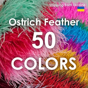 Op de afbeelding: Een levendig assortiment struisvogelveer in verschillende kleuren, waaronder rood, roze, blauw en geel. De afbeelding toont de tekst "Ostrich Feather 50 COLORS".