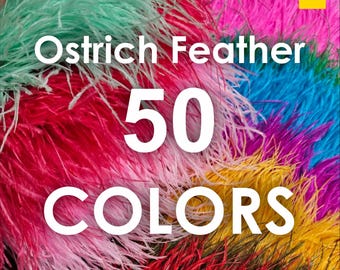 May include: A collection of soft ostrich feathers in a vibrant array of colours including mint green, hot pink, bright blue, purple, yellow, and red. The text Ostrich Feather 50 COLORS is overlaid in large white letters across the centre of the image.