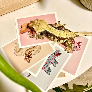 Puede incluir: Cuatro tarjetas ilustradas con diferentes reptiles. La tarjeta superior muestra un gecko crestado con manchas blancas y negras sobre un fondo rosa. La segunda tarjeta muestra una serpiente con marcas blancas y marrones sobre un fondo marrón claro. La tercera tarjeta muestra una salamandra moteada azul y roja sobre un fondo azul claro. La cuarta tarjeta muestra un ajolote rosa sobre un fondo rosa claro.