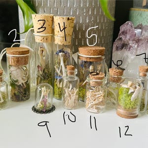 Rodent Bone Vials