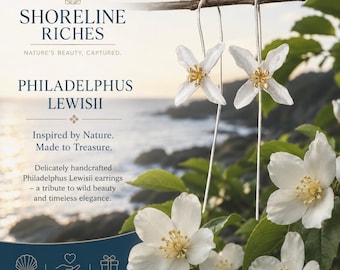 Sterling Silver Flower Earrings: Gold Plated Stamens..Philadelphus Lewisii