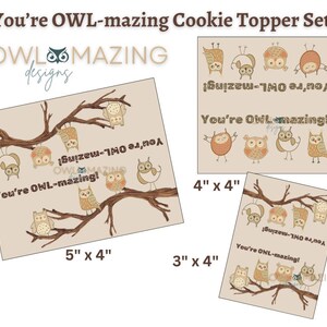 May include: A set of three cookie toppers featuring owls on branches with the text "You're OWL-mazing!" The toppers are available in three sizes: 5 inches by 4 inches, 4 inches by 4 inches, and 3 inches by 4 inches.
