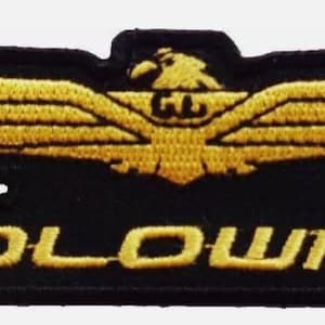 May include: Black and gold embroidered patch with a stylized eagle and the word "GOLDWING" in gold lettering.