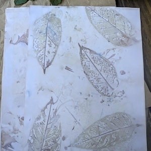 10 Full Size Eco Prints with Iron Mordant on 32 pound paper