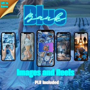 May include: A collage of images and reels on a blue background with the text "Blue Bank Images and Reels PLR Included".