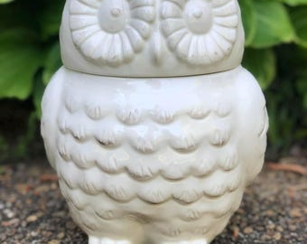 Better Homes & Gardens Owl Cookie Jar | Ceramic Owl Canister | Modern Kitchen Storage | Woodland Decor | BHG Kitchen