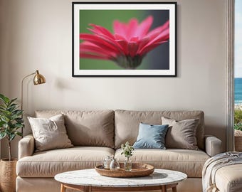 Pink Gerbera Daisy Macro Print: Vibrant Floral Photography (Digital Download)