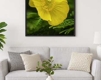 Golden Bloom Flower Photography Print: Fine Art Floral Decor