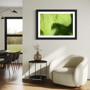 May include: A framed photograph of a green leaf with water droplets along the edge. The photograph is in a black frame and hangs on a white wall. A small side table with a glass vase and a white chair are in the foreground.