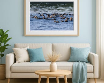 Sea Otter Raft Photography Print: Ocean Wildlife Wall Art