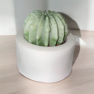 Handmade Succulent soap favors Baby Shower Favors Bridal Shower Favors Cactus Wedding Party Decorations Handmade Soap Gift for Guest