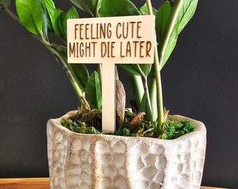 Funny Plant Stakes, Plant Markers, Garden Stakes, Garden Decor, Plant Accessories, Funny Plant Markers, Wooden Plant Stakes, Plant Signs