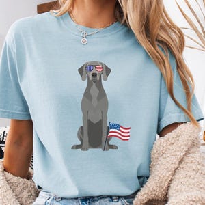 Op de afbeelding: Lichtblauw T-shirt met een afbeelding van een grijze hond met een zonnebril met de Amerikaanse vlag en een kleine Amerikaanse vlag. Het woord "Chambray" staat linksboven gedrukt.