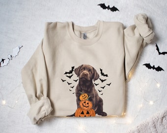 Spooky Chocolate Lab Sweatshirt Chocolate Labrador Shirt Labrador Retriever Sweater Halloween dog Sweatshirt Halloween sweater Pumpkin shirt