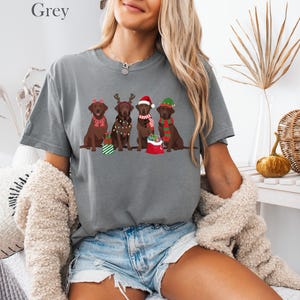 Op de afbeelding: Een grijs T-shirt met een kerstthema. Het toont vier bruine Labradors, elk met feestelijke accessoires zoals kerstmutsen en sjaals. Het woord "Grey" staat bovenaan het T-shirt gedrukt. De honden dragen kerstversieringen.