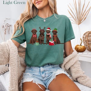 Op de afbeelding: Lichtgroen T-shirt met vier bruine Labrador Retrievers met kerstaccessoires. Elke hond heeft een uniek vakantieontwerp, waaronder een kerstmuts en sjaals. Het shirt is een comfortabele, casual stijl.
