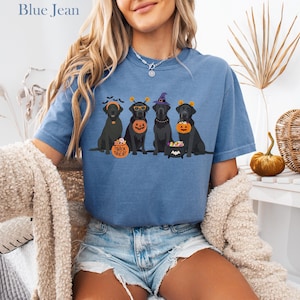 May include: Blue jean t-shirt featuring four black Labrador Retrievers dressed for Halloween. Each dog wears a costume, including witch hats and sunglasses, and holds a pumpkin or candy bucket. The text "Blue Jean" is at the top.