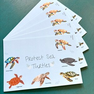 May include: Protect Sea Turtles card set with illustrations of different sea turtle species, including Kemp's Ridley, Loggerhead, Olive Ridley, Hawksbill, and Leatherback. The cards are white with green and blue accents.