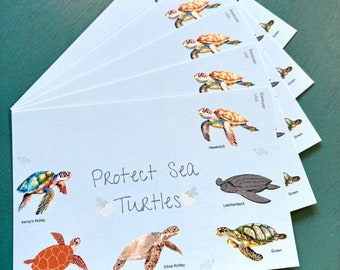 Protect Sea Turtles postcard