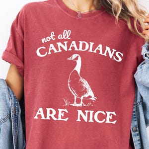 Not All Canadians Are Nice Comfort Colors® Shirt, Funny Canada Shirt, Vintage Retro Graphic Canadian Goose Shirt, Unisex Trendy Canada Tee