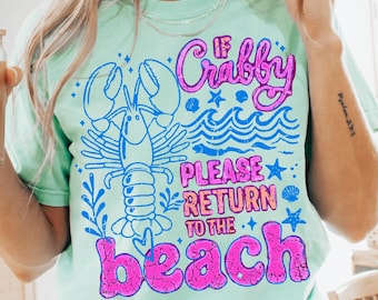 Si estás de mal humor, por favor regresa a la playa. Camiseta Comfort Colors®, camiseta divertida para la playa, camiseta retro de verano, camiseta con estampado costero, regalo para amantes de la playa.