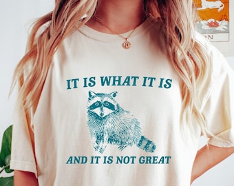 It Is What It Is And It Is Not Great Shirt, Comfort Colors Tshirt, Meme Tshirt, Vintage Shirt, Raccoon Shirt, Funny T shirt, Mental Health