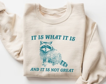 It Is What It Is And It Is Not Great Sweatshirt, Meme Sweatshirt, Vintage Sweatshirt, Raccoon Sweatshirt, Funny Sweatshirt, Mental Health