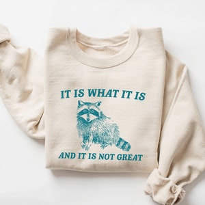It Is What It Is And It Is Not Great Sweatshirt, Meme Sweatshirt, Vintage Sweatshirt, Raccoon Sweatshirt, Funny Sweatshirt, Mental Health