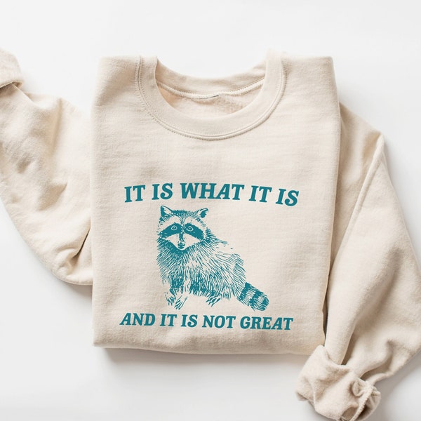 It Is What It Is And It Is Not Great Sweatshirt, Meme Sweatshirt, Vintage Sweatshirt, Raccoon Sweatshirt, Funny Sweatshirt, Mental Health